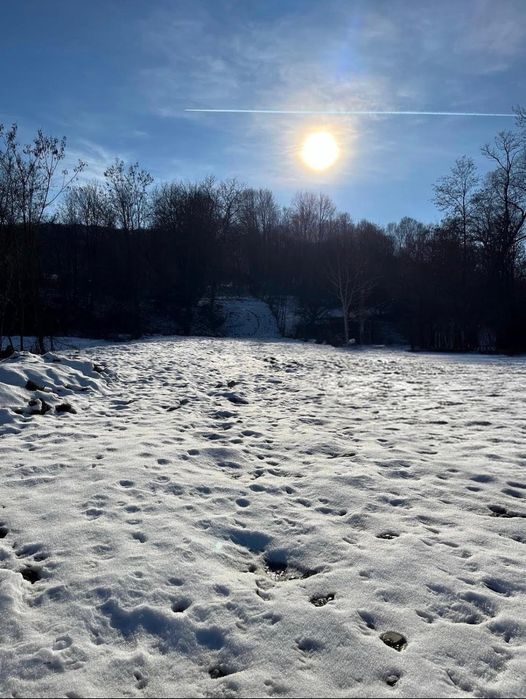 Teren intravilan 2.115 mp - Provița de Sus, Valea Bradului (Prahova)