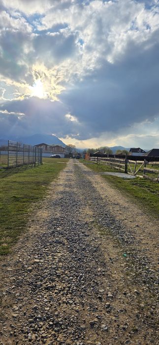 VÂND teren 1.000 mp – RÂȘNOV, Zona GLĂJĂRIE (RÂUL Mare)