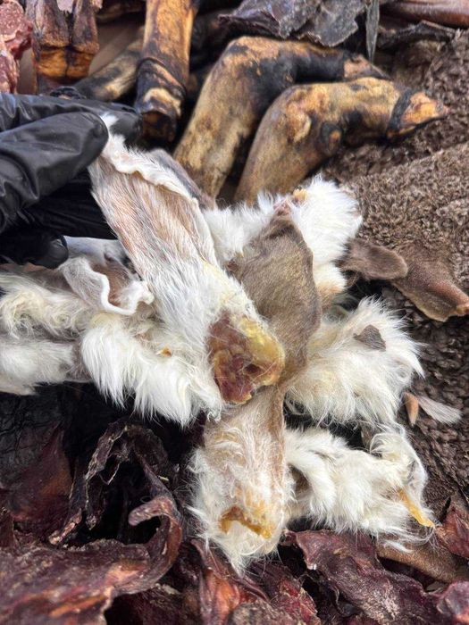 Набор лакомств для собак