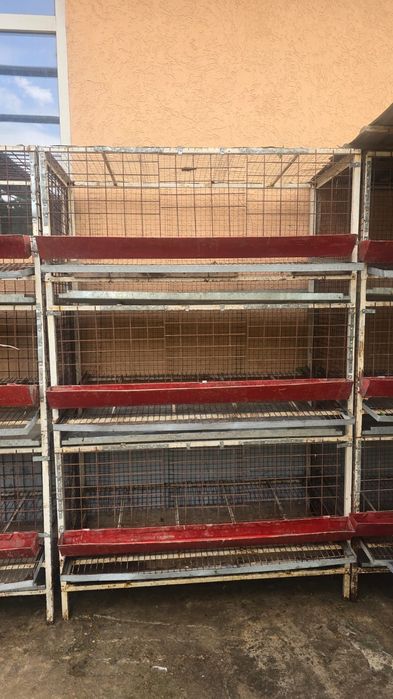 Клетка для перепелов бодене