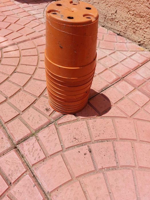 саксии за щветя и растения