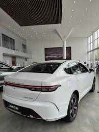 BYD Chazor Active 55 km olx