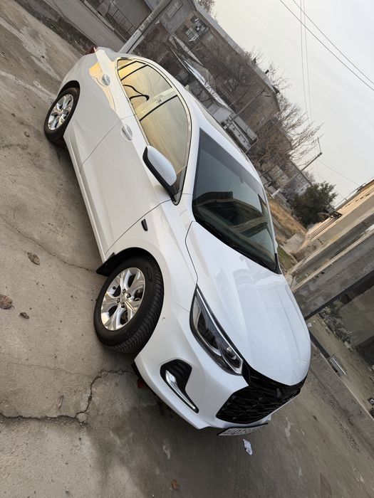 Onix premer + 6 pazitsa