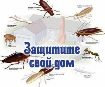 Дезинфекция 100% Гарантия качества.