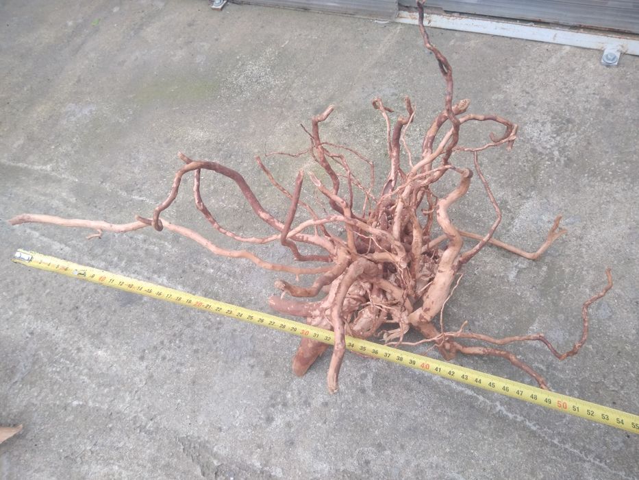 Lemne red moor acvariu(decor)