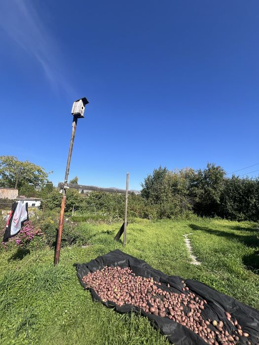 Дача в Бухтарме