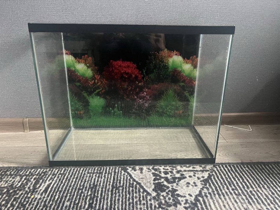 Аквариум на 54 литра