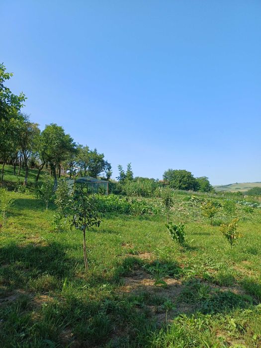 Casa de vanzare Saulia, jud. Mures