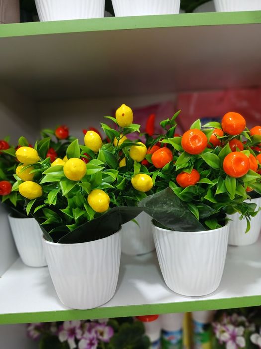 Dekorativ sun’iy gullar / Декоративные искусственные цветы