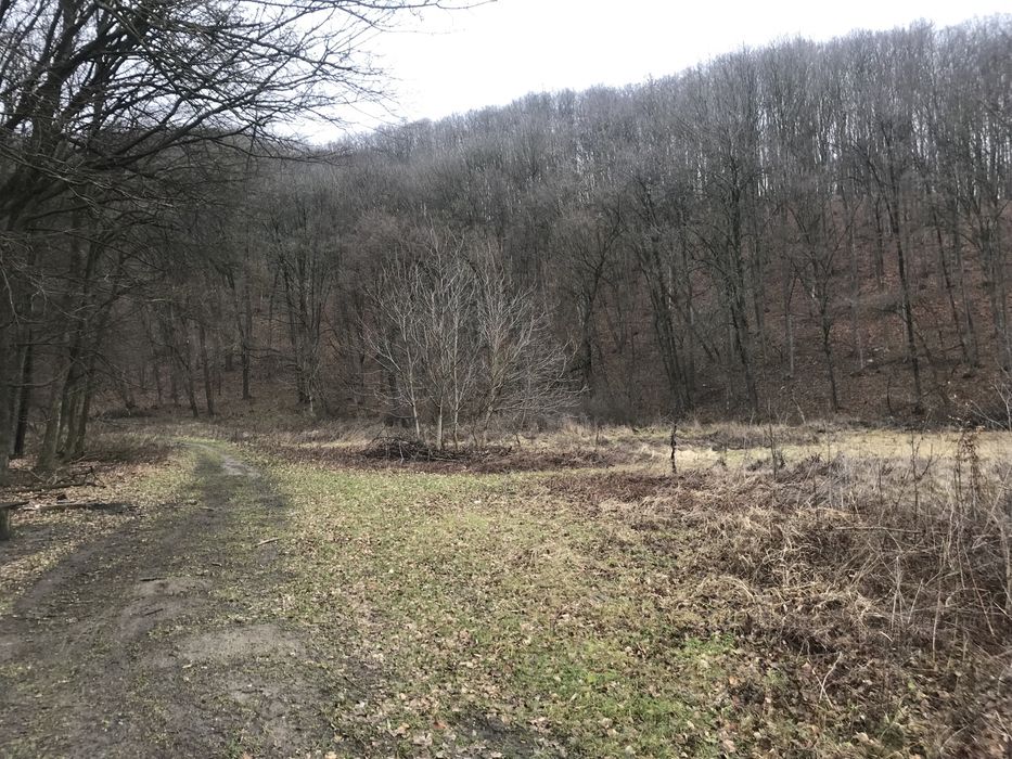 Vand teren extravilan