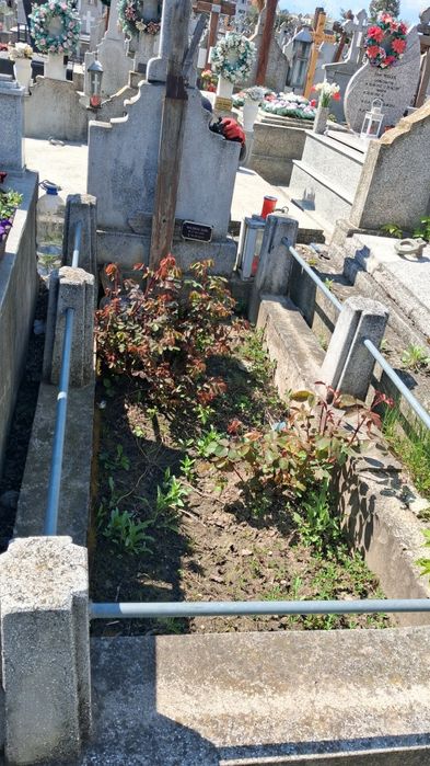 Vand loc de veci la Cimitirul Central!