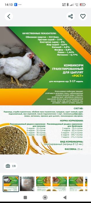 Богдановичский комбикорм