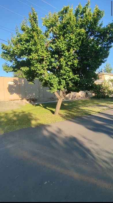 Хусусий ер сотилади