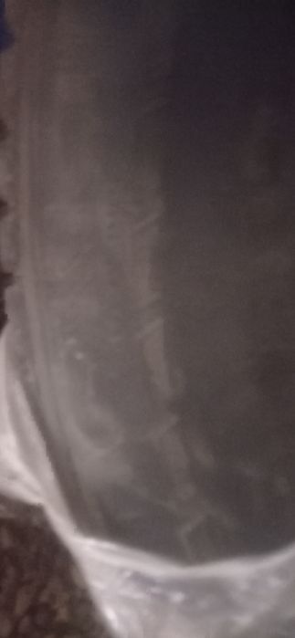 Продам резину на 17 зима шипы