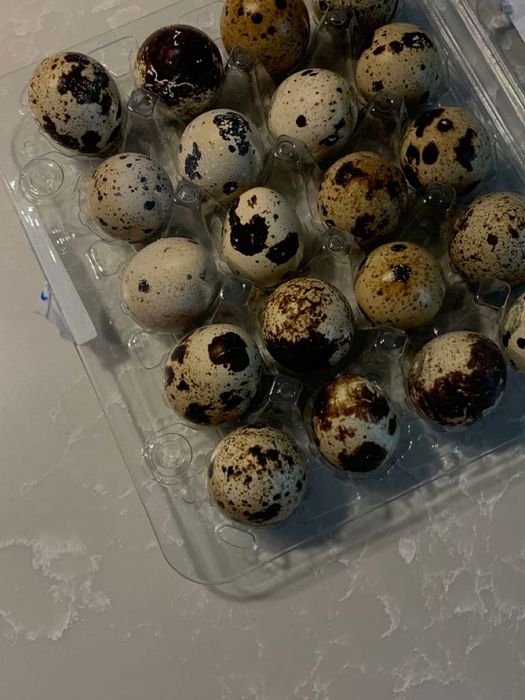 Свежие яйца, без химии