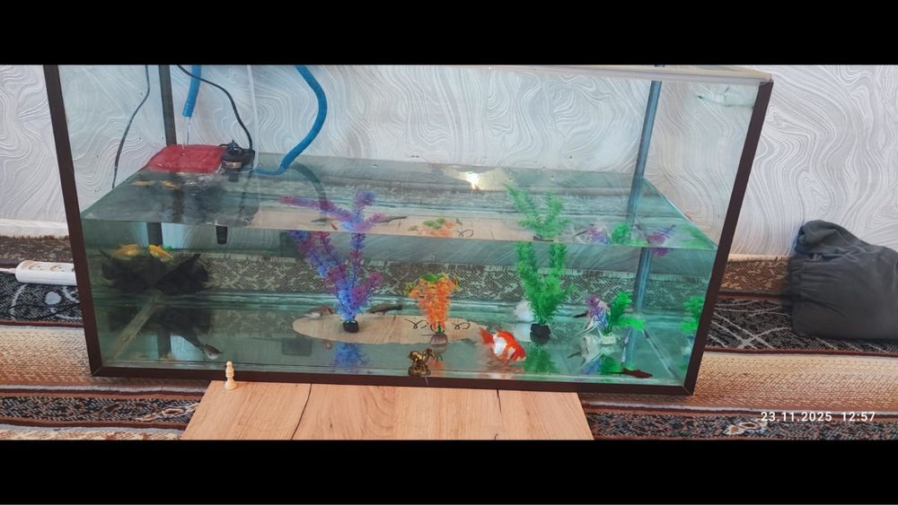 Продается аквариум и аквариум рыбки