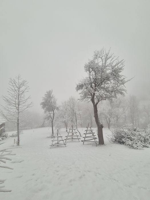 Vând 1200 mp  teren parcelabil in Valea Doftanei . Prahova