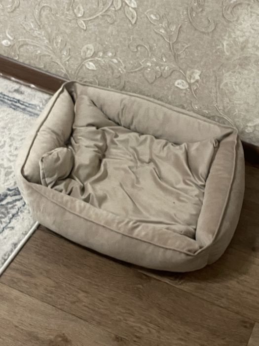 Отдам в добрые руки ласкового ко