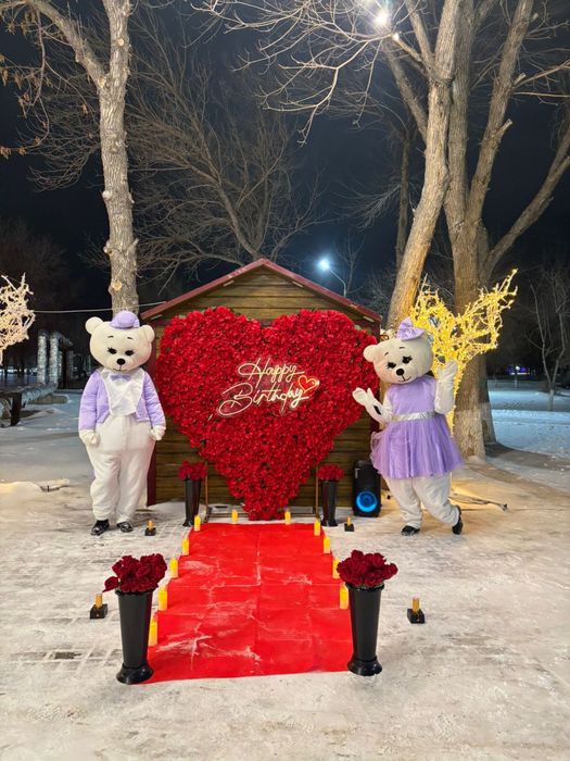 Аниматор/ Тедди Мишки