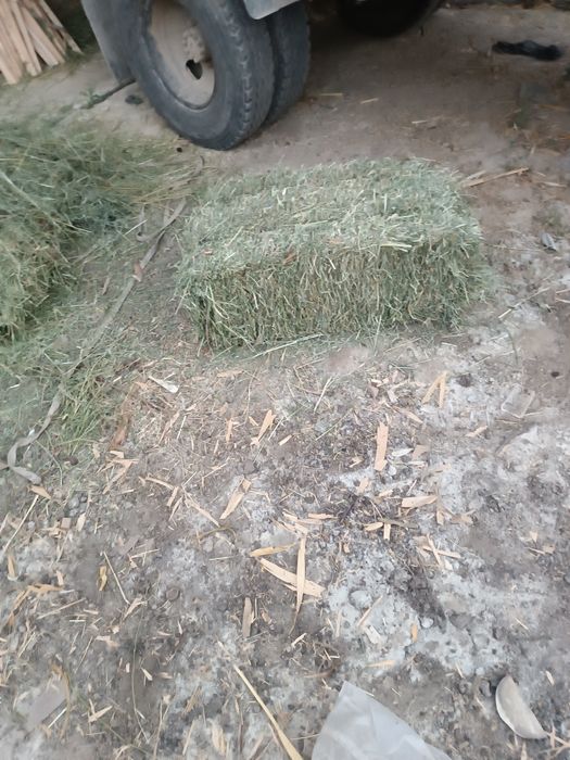 Beda press toza beda