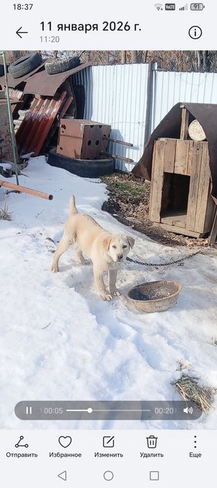 Продам Продам Продам