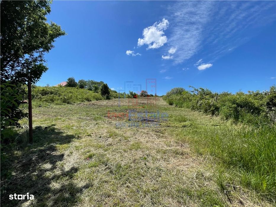 Ocazie! Visan TEREN 1616mp intravilan lot pt constructie casa