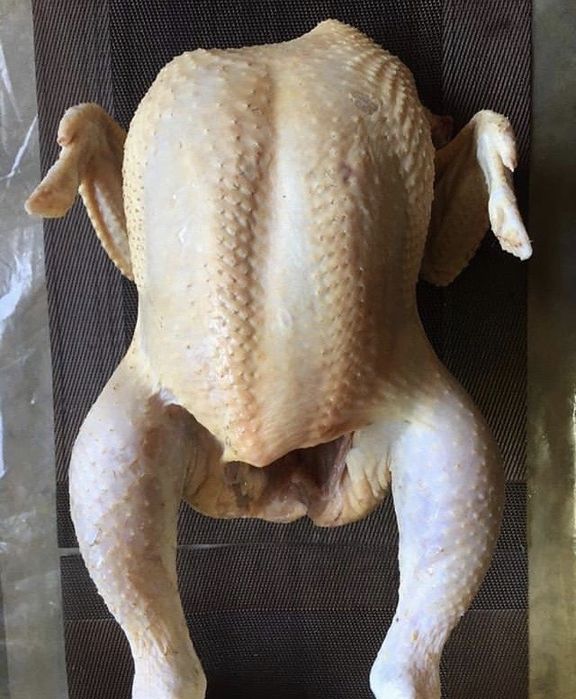 Продам домашнюю курицу бройлера