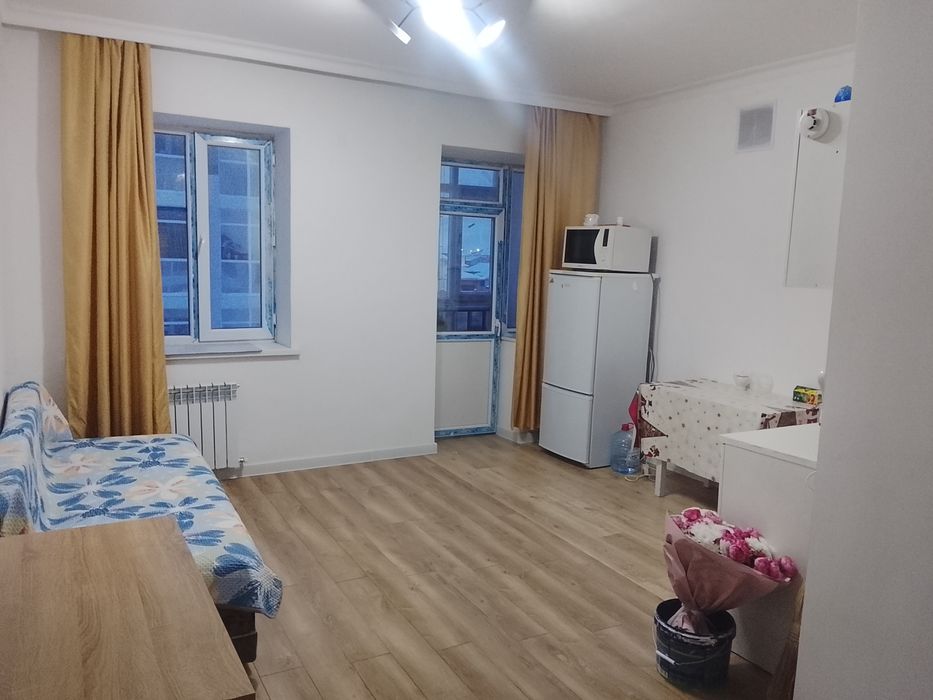 Квартира 1 комнатная