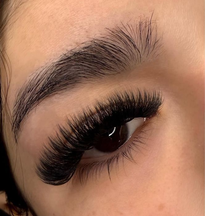 Extensii gene sector 4