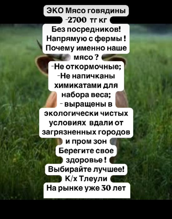 Продам эко мясо говядины