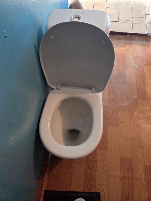 Отдам даром унитаз. На банке трещины.