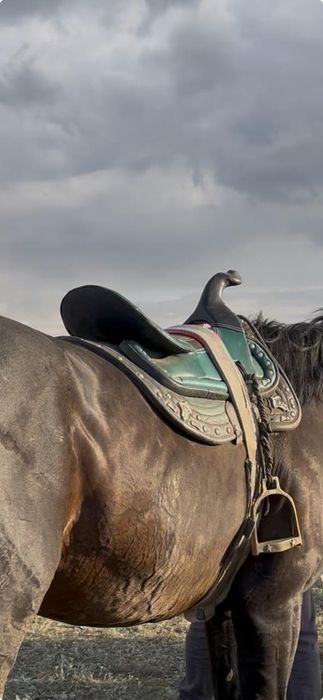 Седло  для лошадей Ертокым