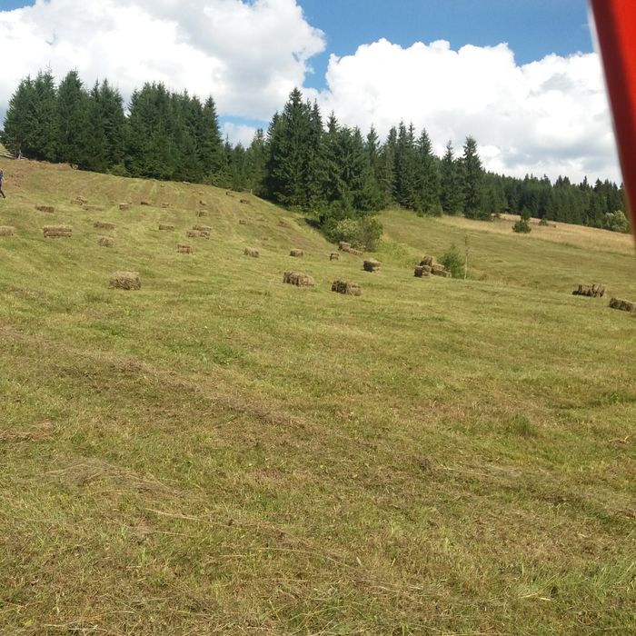 Fân de munte calitate I cu transport