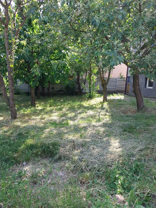 Închiriez casă spațioasă Sânnicoară la 10 min de Lidl, ideală pentru familie