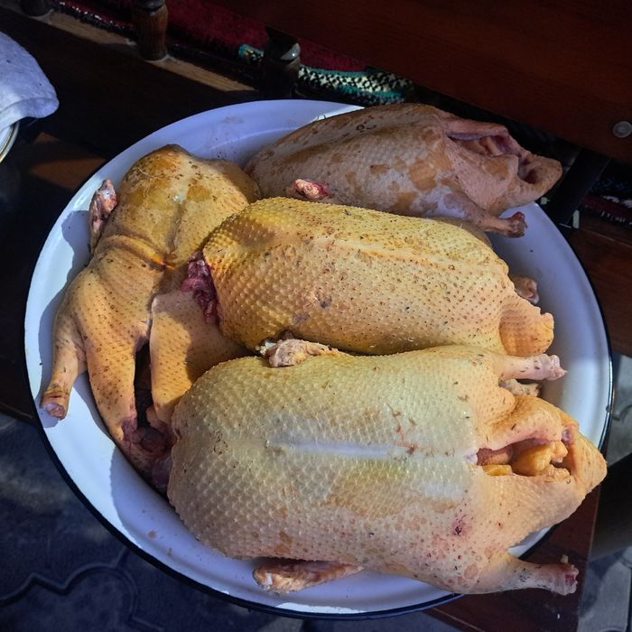Продам домашних гусей и уток