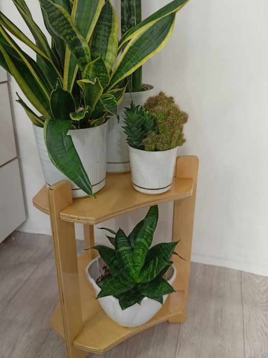 Подставки для цветов