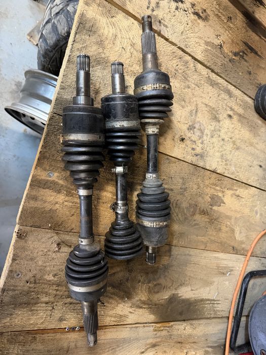 Planetara fata  cf Moto 450