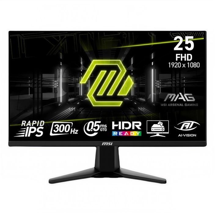 MSI 25 dyum 300Hz