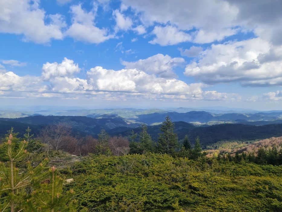 Продава се Земеделски имот в с. Давидково, Област Смолян -  кв.м за 15000 €/дка - Снимка #2