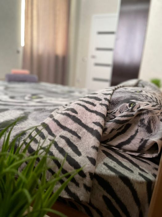 Сдаются VIPквартира в Башне близнецах