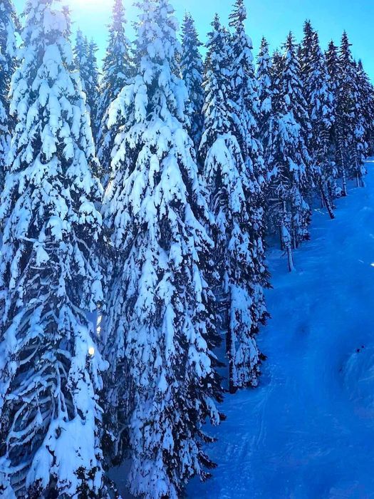 Парцел за продажба в с. Зорница, обл. Смолян