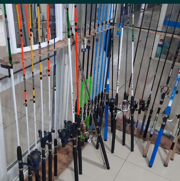 Закидушки на сазана. Сом