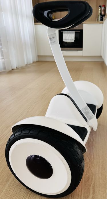 Seagway ninebot s Model: N3M240