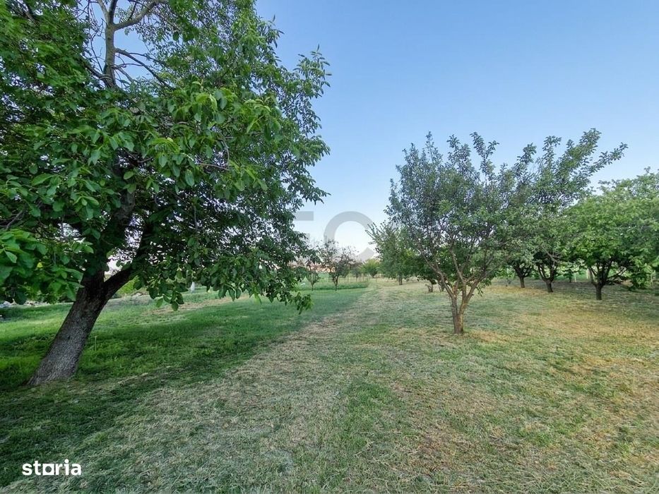 RECO Proprietate cu 2 case si teren mare in Girisu de Cris