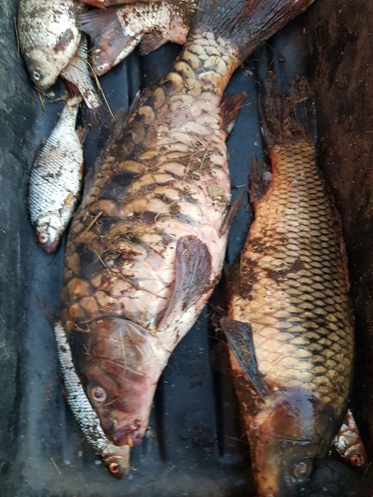 Рыбалка,выезд на рыбалку