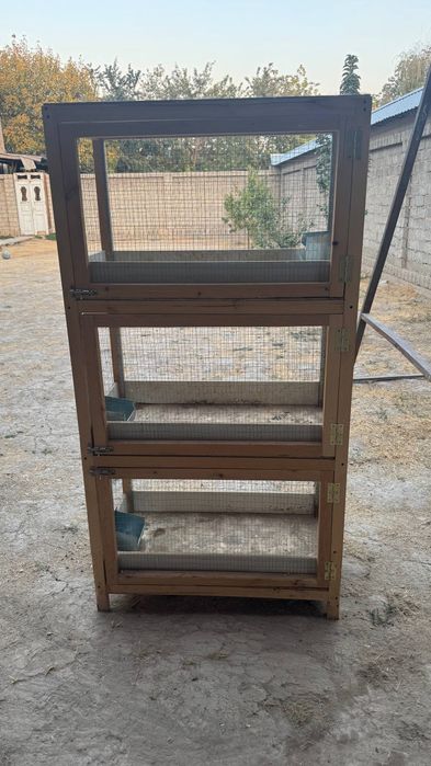 Қуён ини.      .