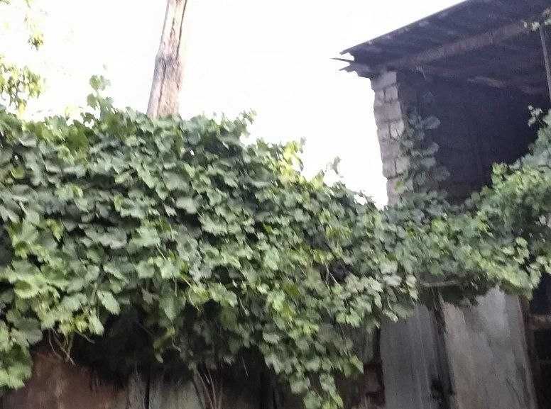 Продаётся земельный участок. Вдоль дороги . 1 линия.