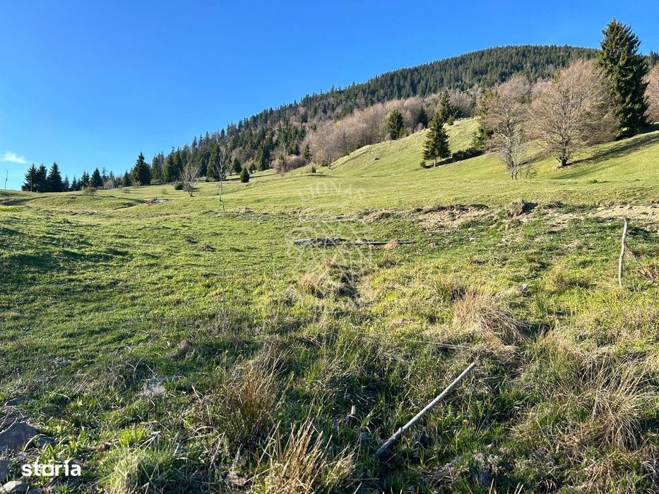 Teren 5000 mp-panorama spre Lac Colibita