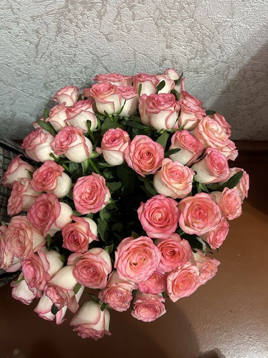 Продается 51 шт розы