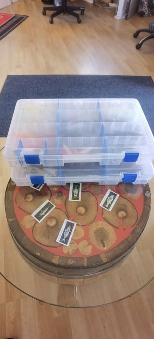 Силикони за бяла риба и костур